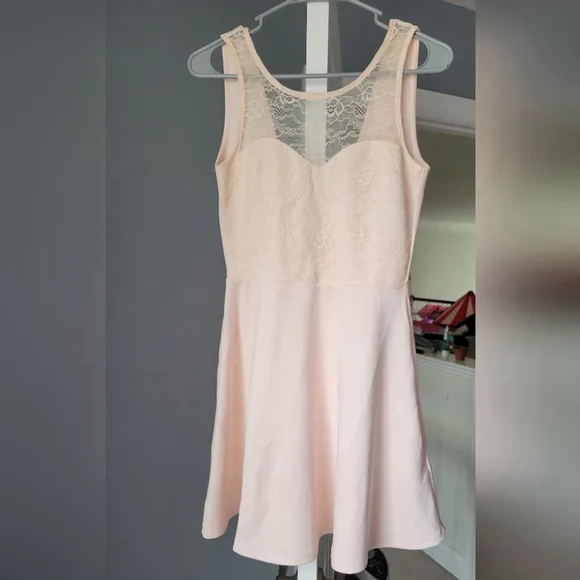 Blush Pink Lace Fit & Flare Skater Dress - Picture 3 of 6